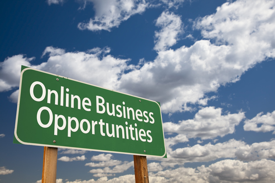 Online Business Opportunities 